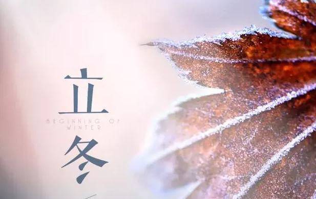立冬已至，夏秋已逝